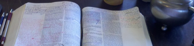 2011-02-19_12-20-17_21