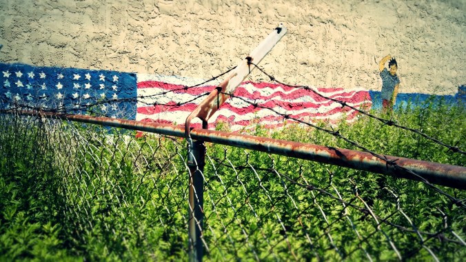 barbed-liberty-flag-wall